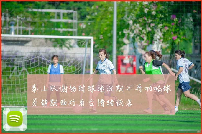 泰山队谢场时球迷沉默不再呐喊球员静默面对看台情绪低落